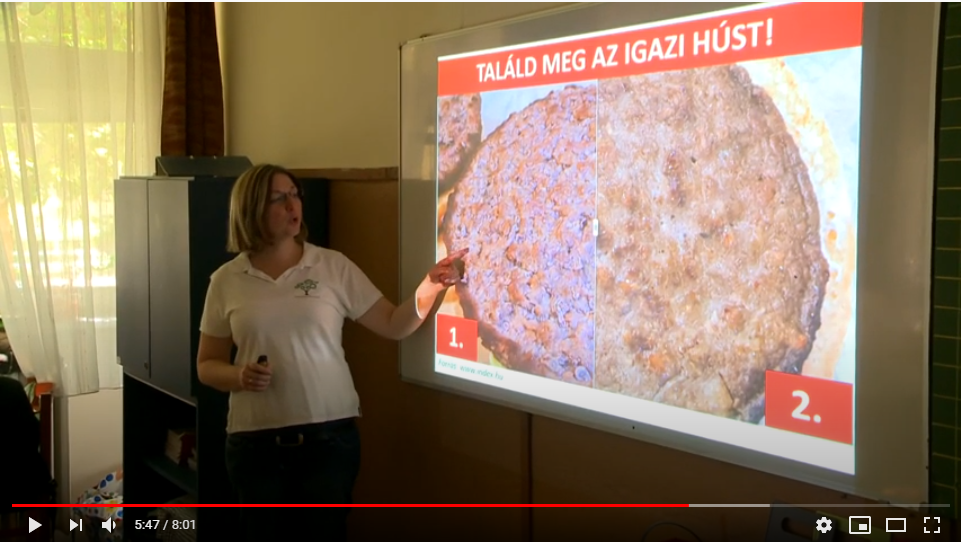 Fogamravaló Oktatás a XXII. kerületi napközis táborban